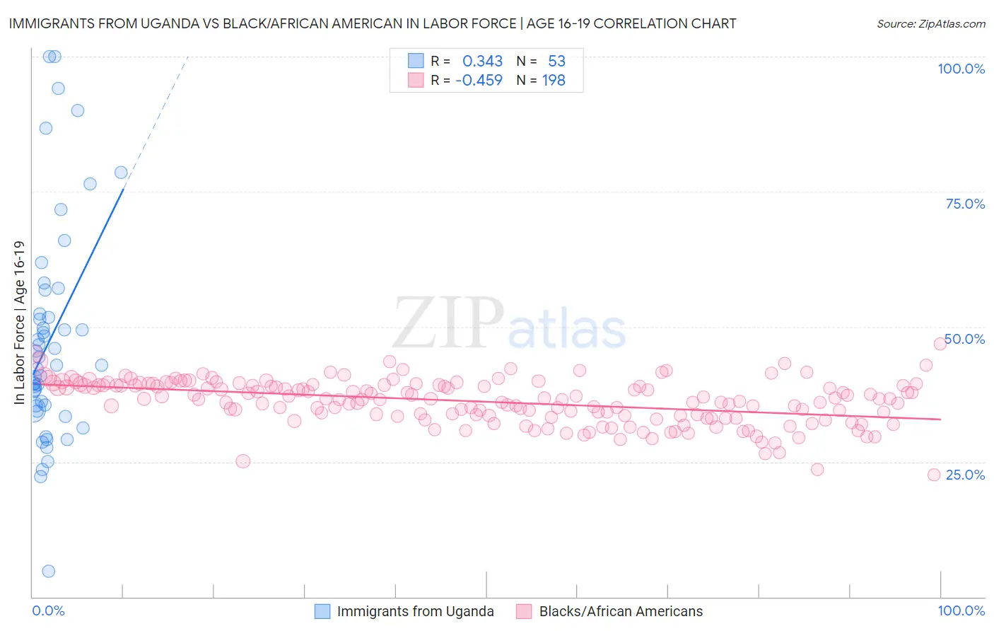 Immigrants from Uganda vs Black/African American In Labor Force | Age 16-19