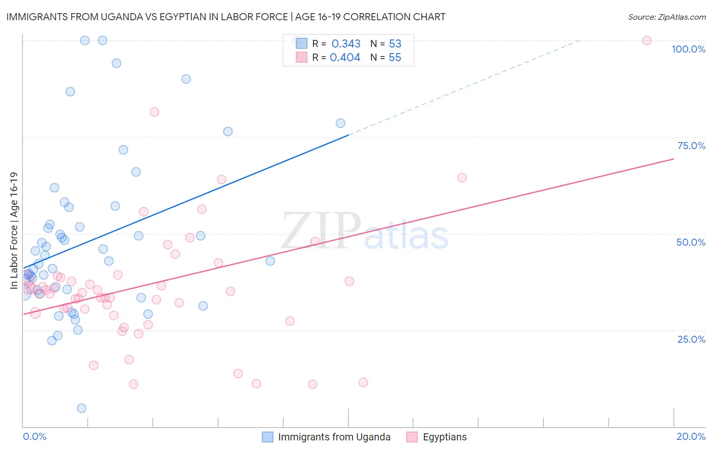 Immigrants from Uganda vs Egyptian In Labor Force | Age 16-19