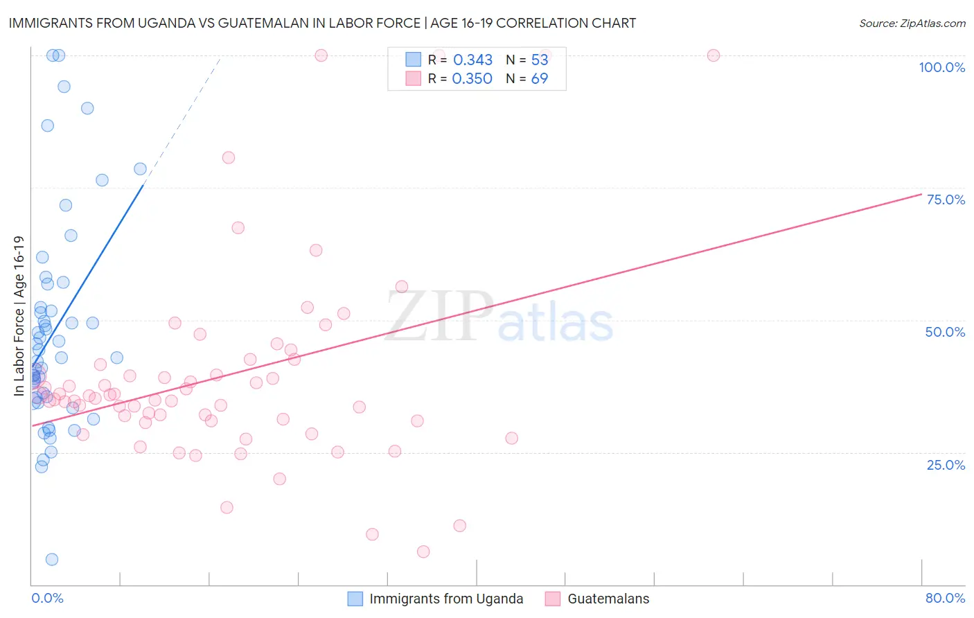 Immigrants from Uganda vs Guatemalan In Labor Force | Age 16-19