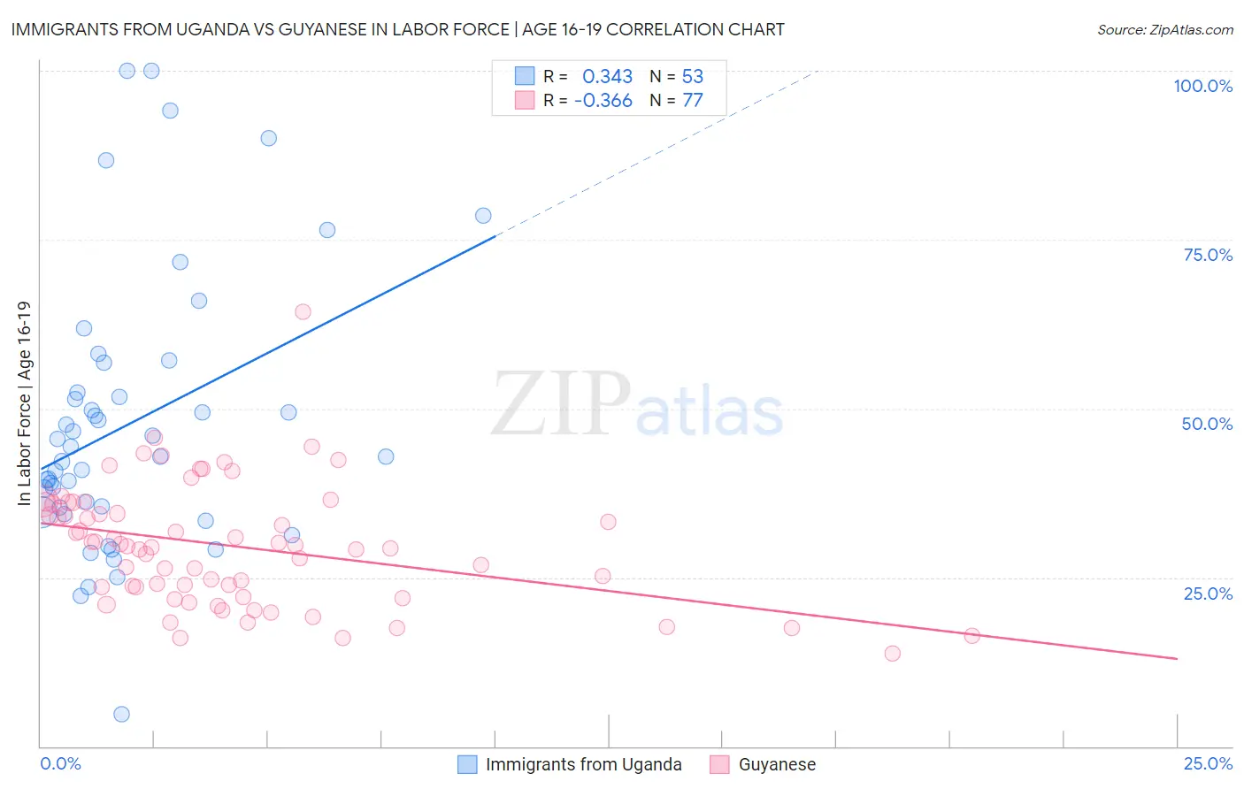 Immigrants from Uganda vs Guyanese In Labor Force | Age 16-19