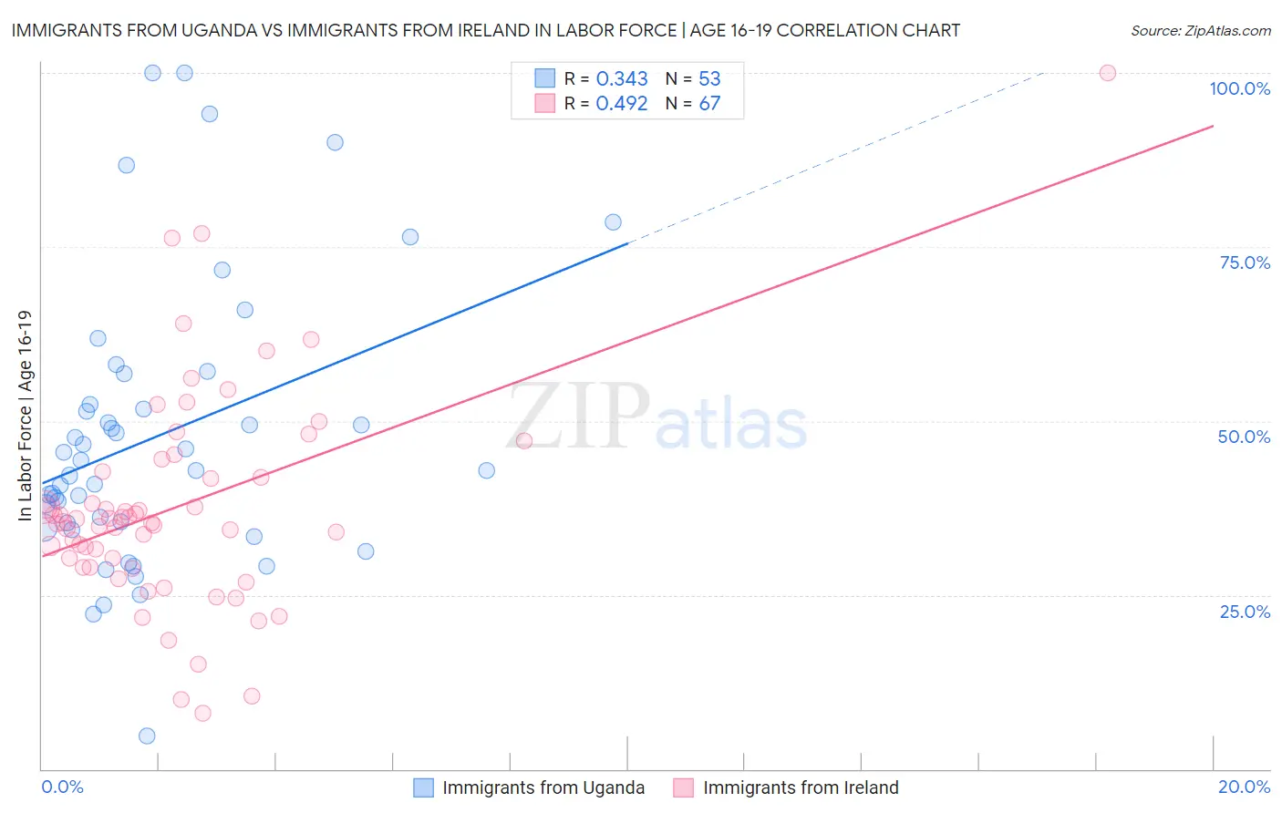 Immigrants from Uganda vs Immigrants from Ireland In Labor Force | Age 16-19