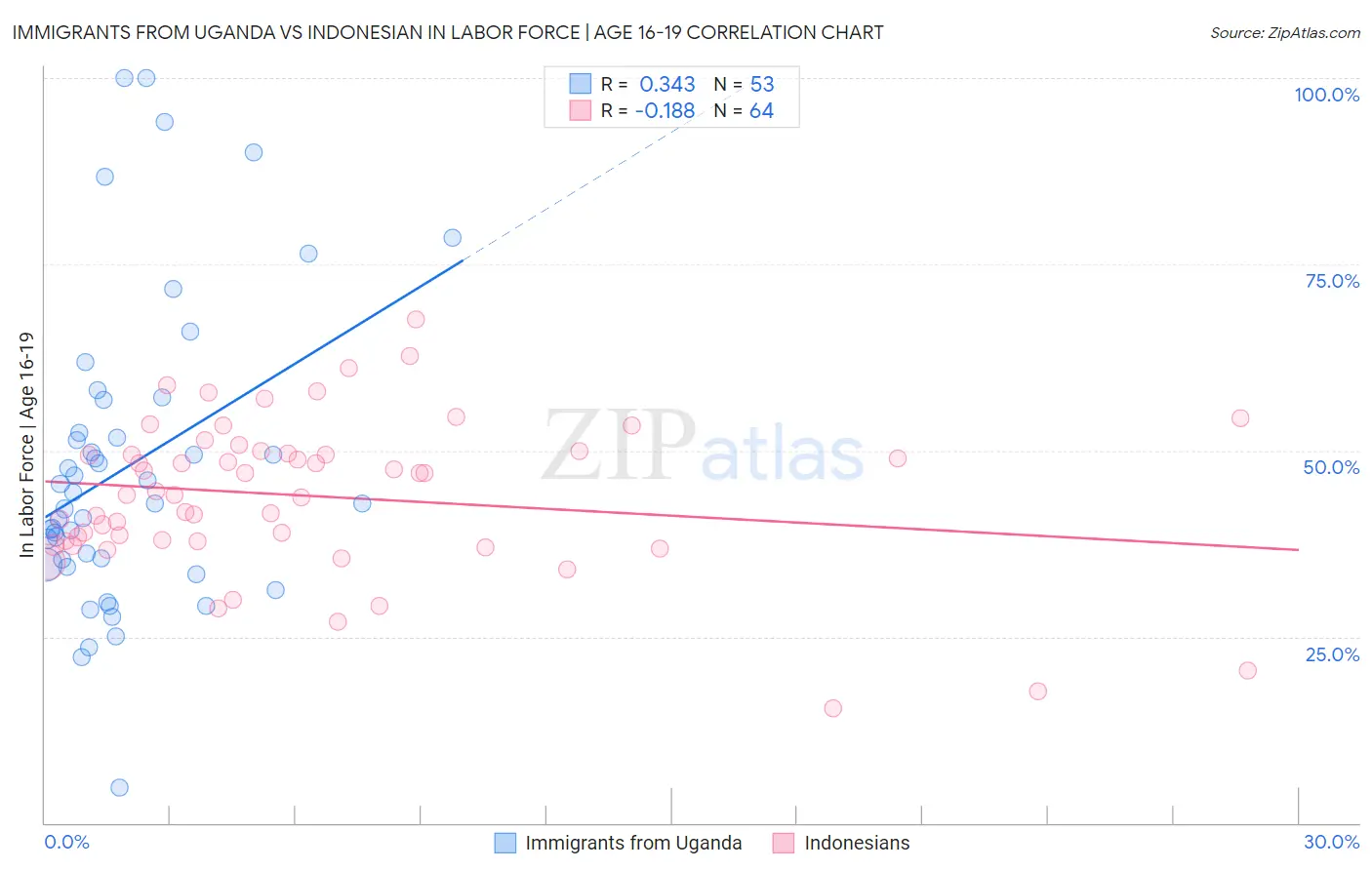 Immigrants from Uganda vs Indonesian In Labor Force | Age 16-19