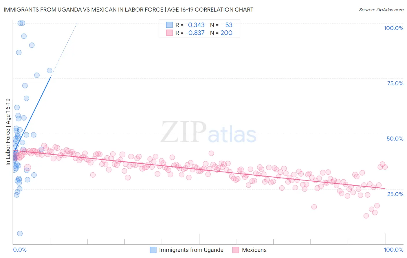 Immigrants from Uganda vs Mexican In Labor Force | Age 16-19