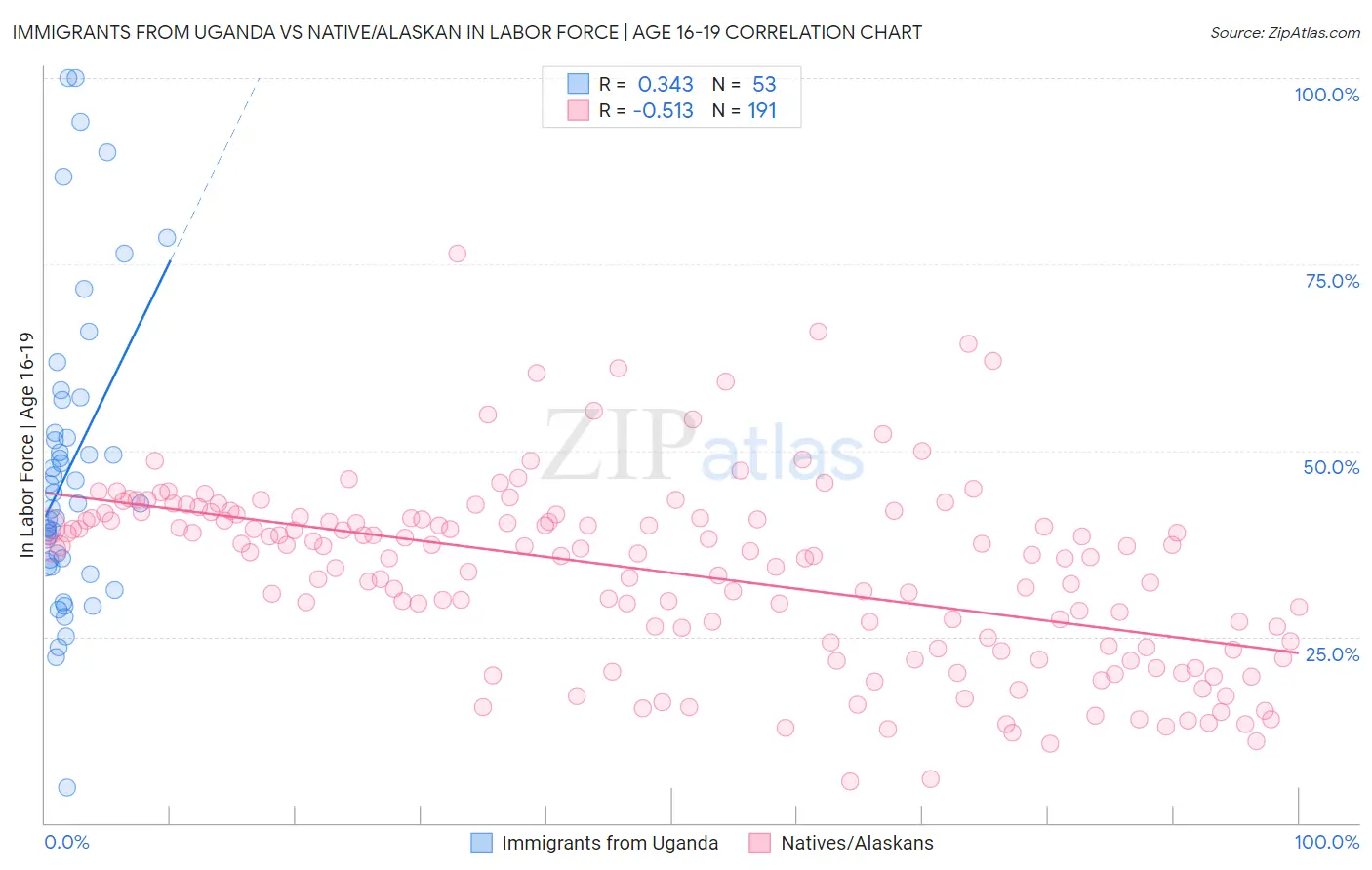 Immigrants from Uganda vs Native/Alaskan In Labor Force | Age 16-19