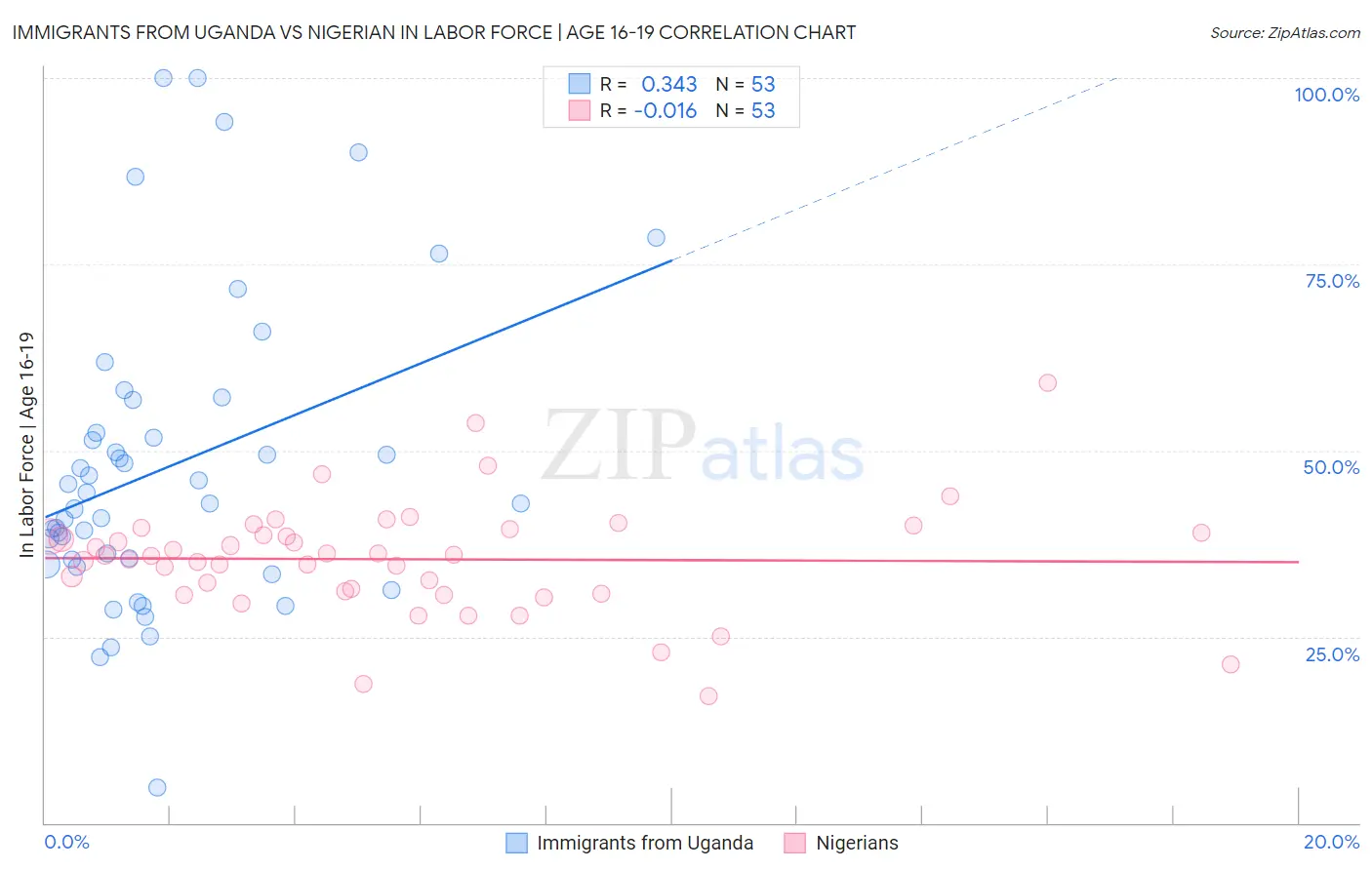 Immigrants from Uganda vs Nigerian In Labor Force | Age 16-19