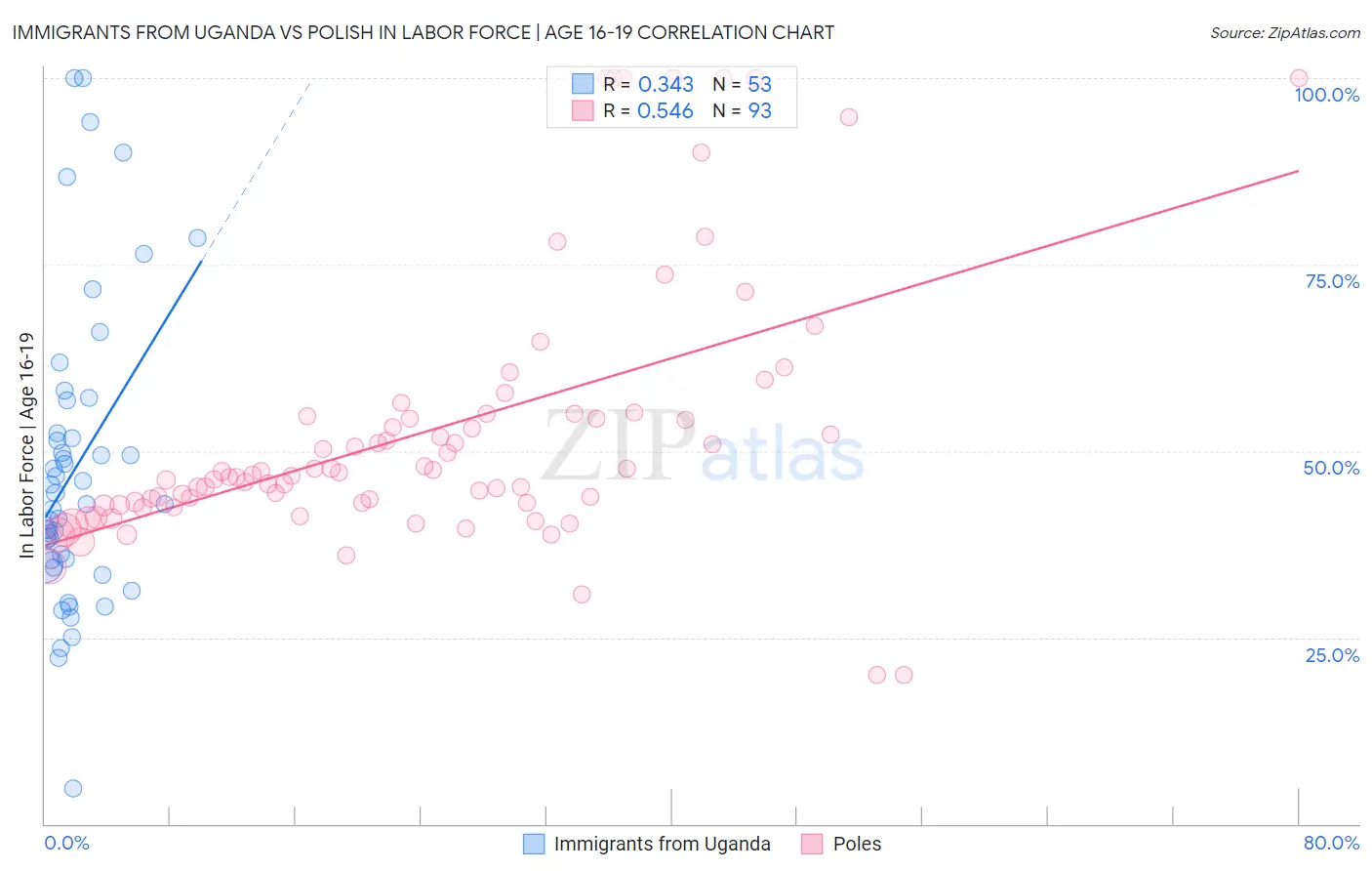 Immigrants from Uganda vs Polish In Labor Force | Age 16-19