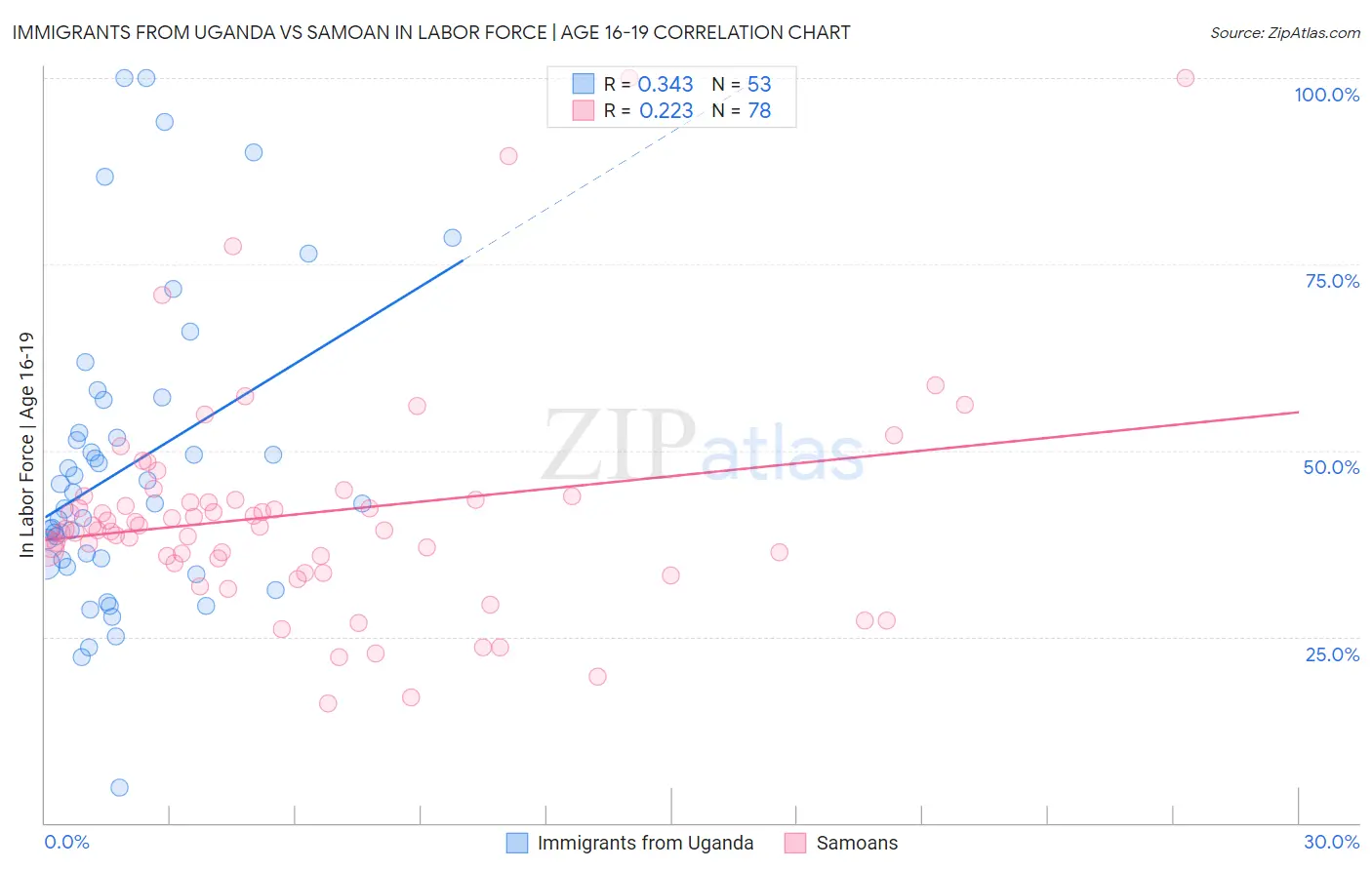 Immigrants from Uganda vs Samoan In Labor Force | Age 16-19