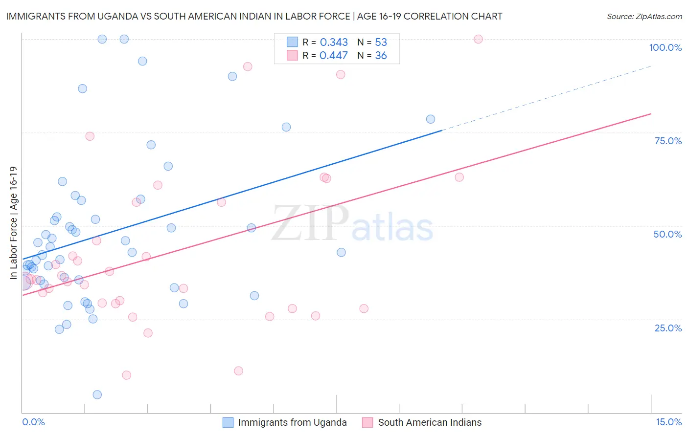 Immigrants from Uganda vs South American Indian In Labor Force | Age 16-19