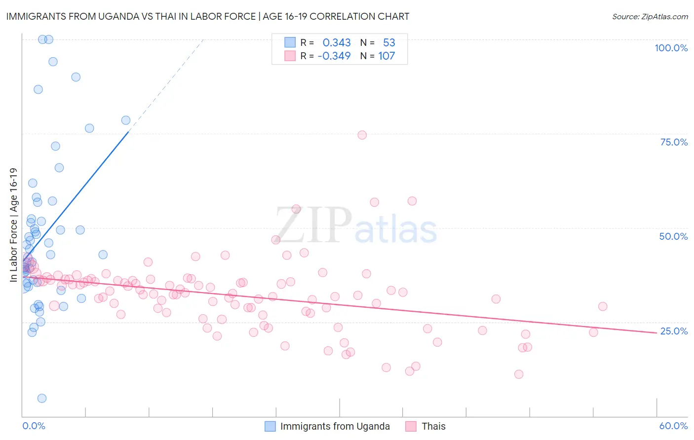 Immigrants from Uganda vs Thai In Labor Force | Age 16-19