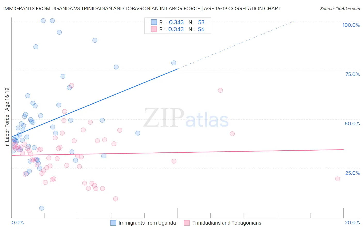 Immigrants from Uganda vs Trinidadian and Tobagonian In Labor Force | Age 16-19