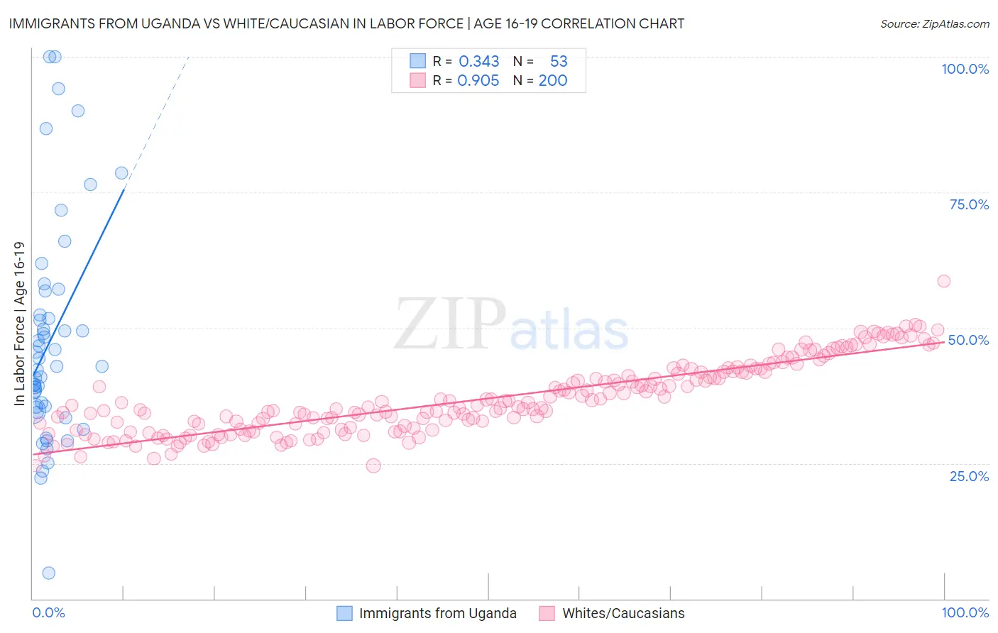 Immigrants from Uganda vs White/Caucasian In Labor Force | Age 16-19