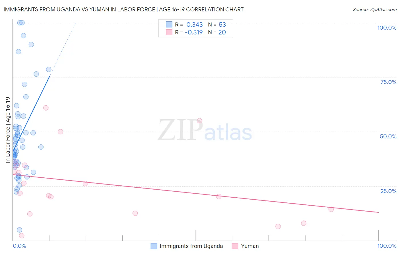 Immigrants from Uganda vs Yuman In Labor Force | Age 16-19