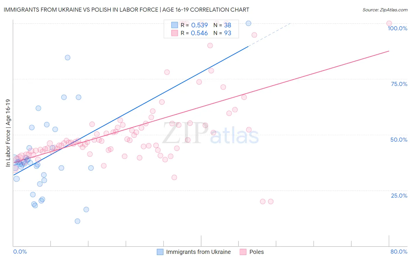Immigrants from Ukraine vs Polish In Labor Force | Age 16-19