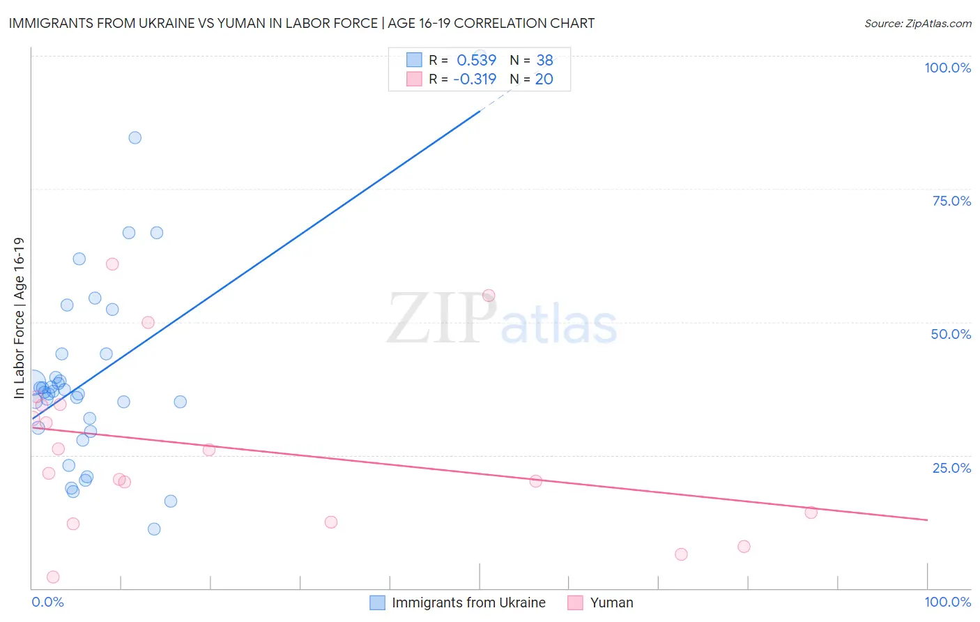 Immigrants from Ukraine vs Yuman In Labor Force | Age 16-19