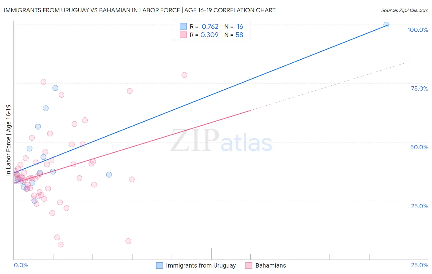 Immigrants from Uruguay vs Bahamian In Labor Force | Age 16-19