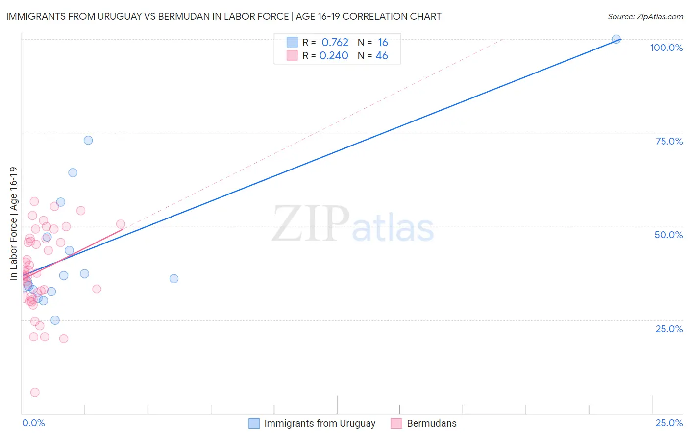 Immigrants from Uruguay vs Bermudan In Labor Force | Age 16-19