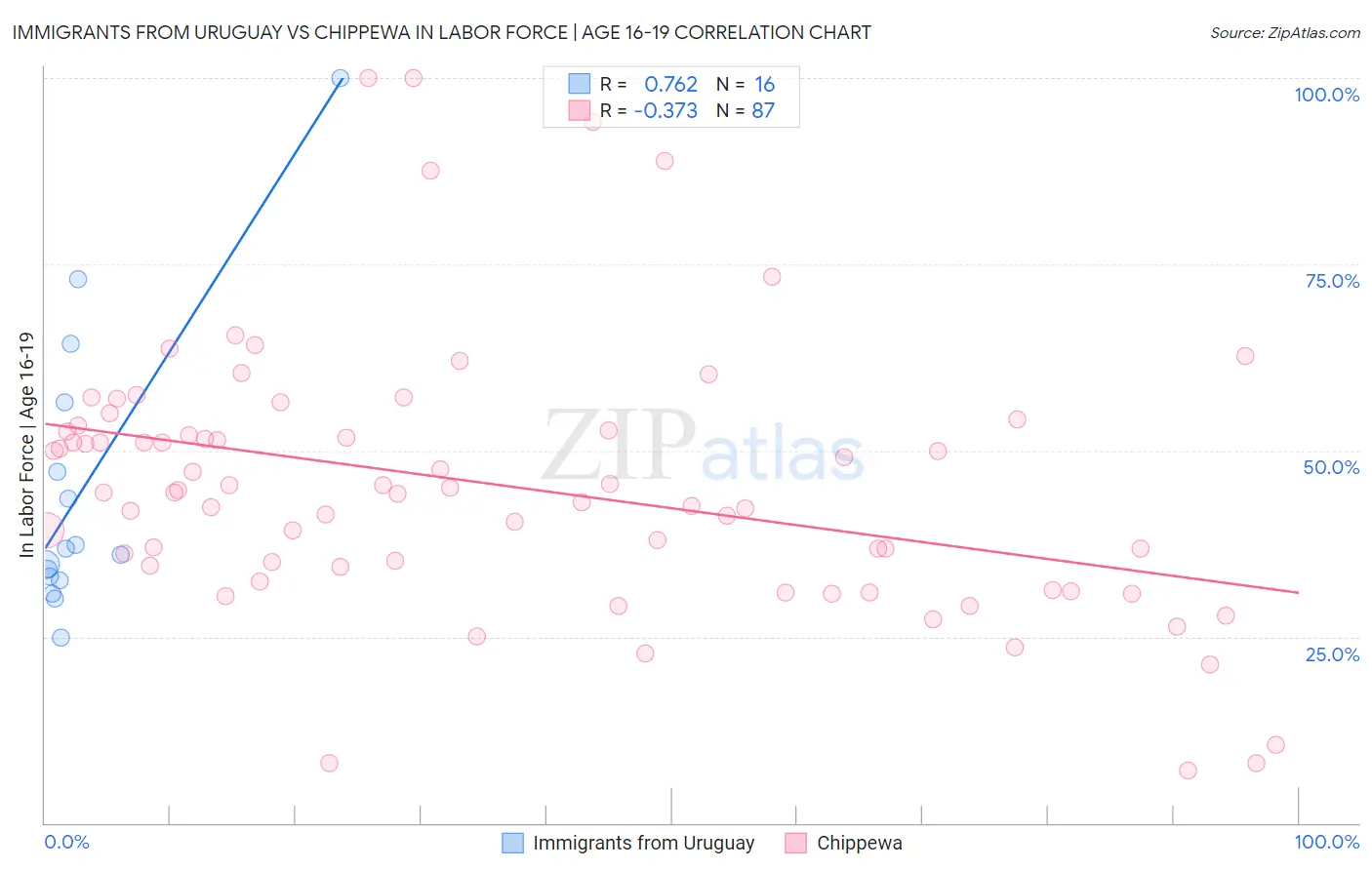 Immigrants from Uruguay vs Chippewa In Labor Force | Age 16-19