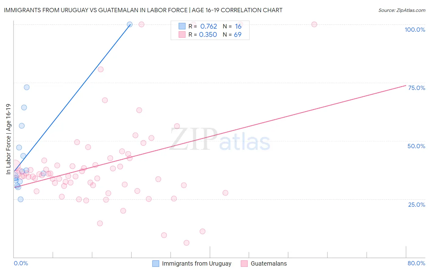 Immigrants from Uruguay vs Guatemalan In Labor Force | Age 16-19