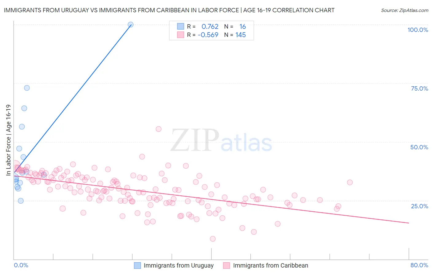 Immigrants from Uruguay vs Immigrants from Caribbean In Labor Force | Age 16-19