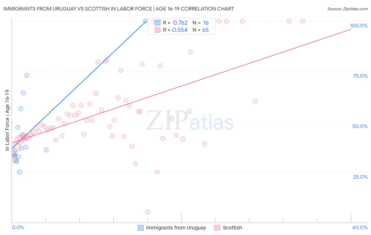 Immigrants from Uruguay vs Scottish In Labor Force | Age 16-19