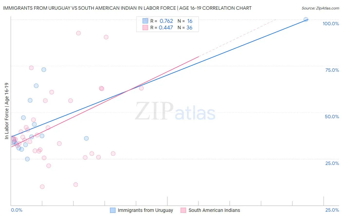 Immigrants from Uruguay vs South American Indian In Labor Force | Age 16-19