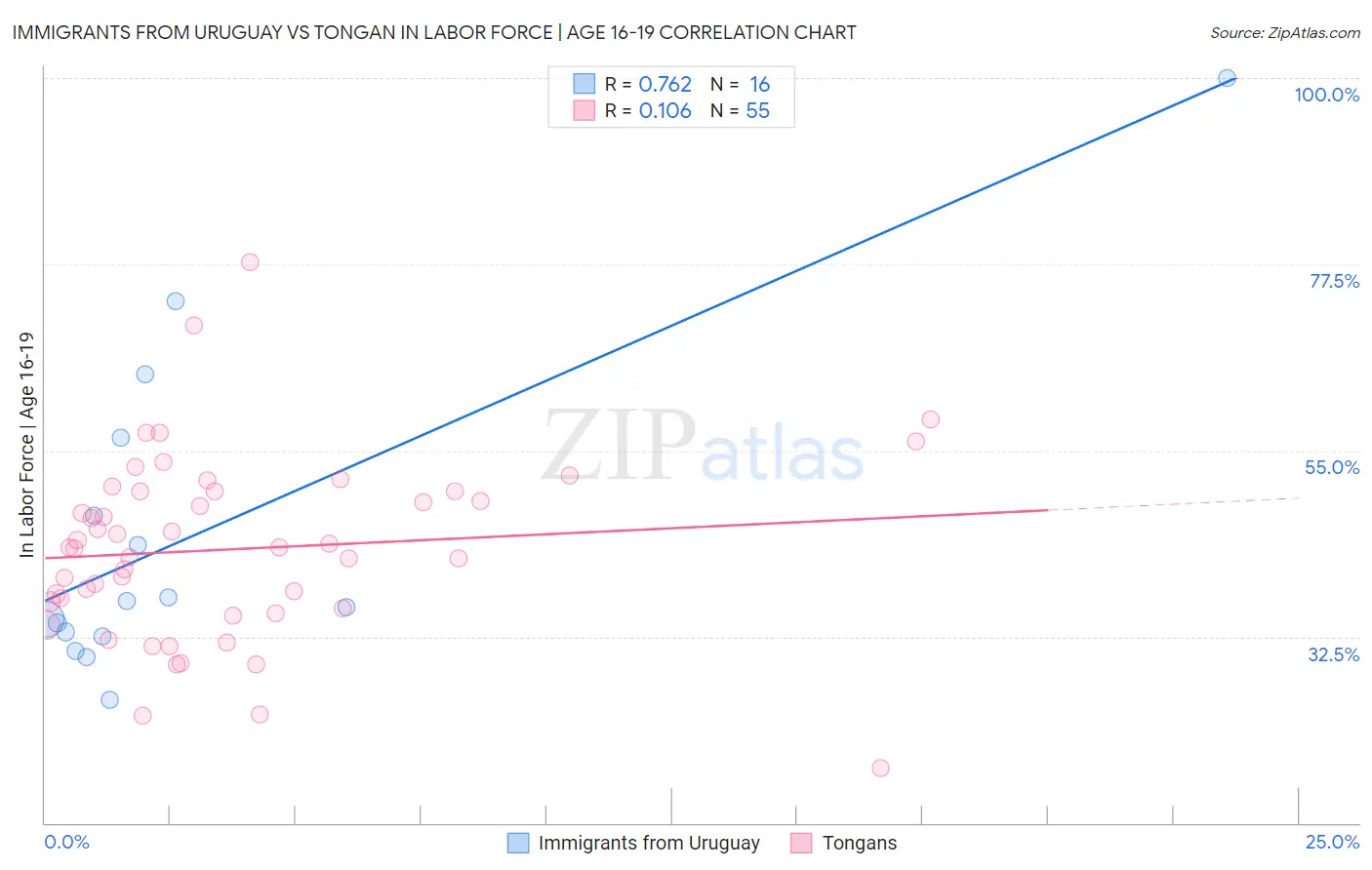 Immigrants from Uruguay vs Tongan In Labor Force | Age 16-19