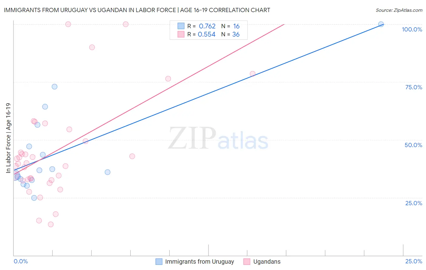 Immigrants from Uruguay vs Ugandan In Labor Force | Age 16-19