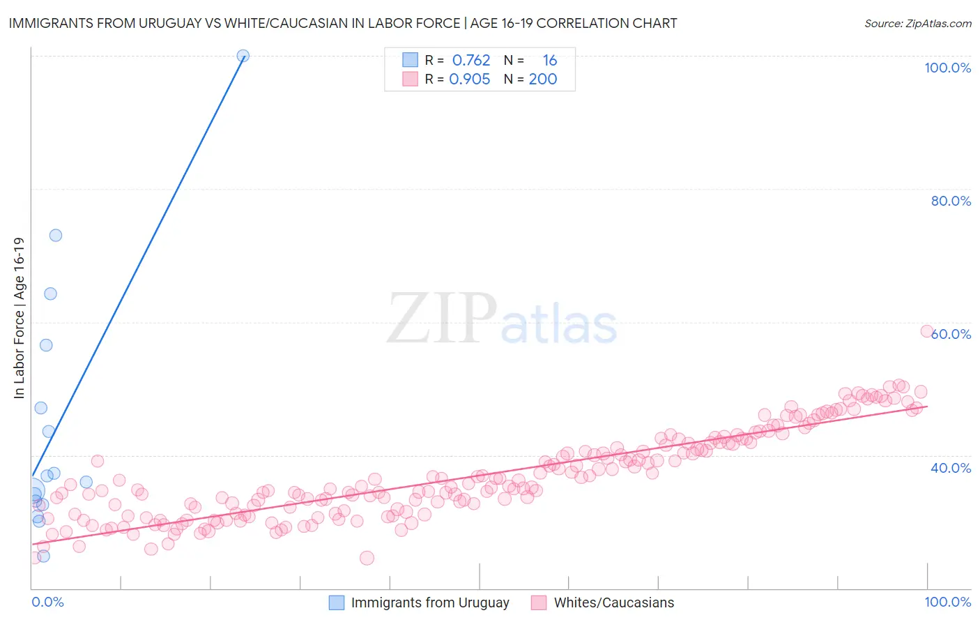 Immigrants from Uruguay vs White/Caucasian In Labor Force | Age 16-19