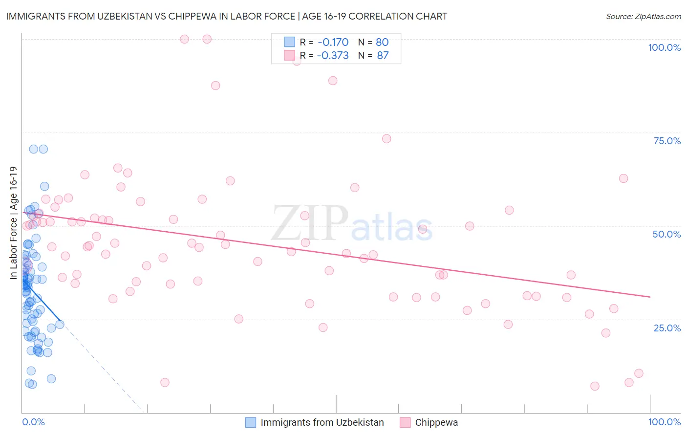 Immigrants from Uzbekistan vs Chippewa In Labor Force | Age 16-19