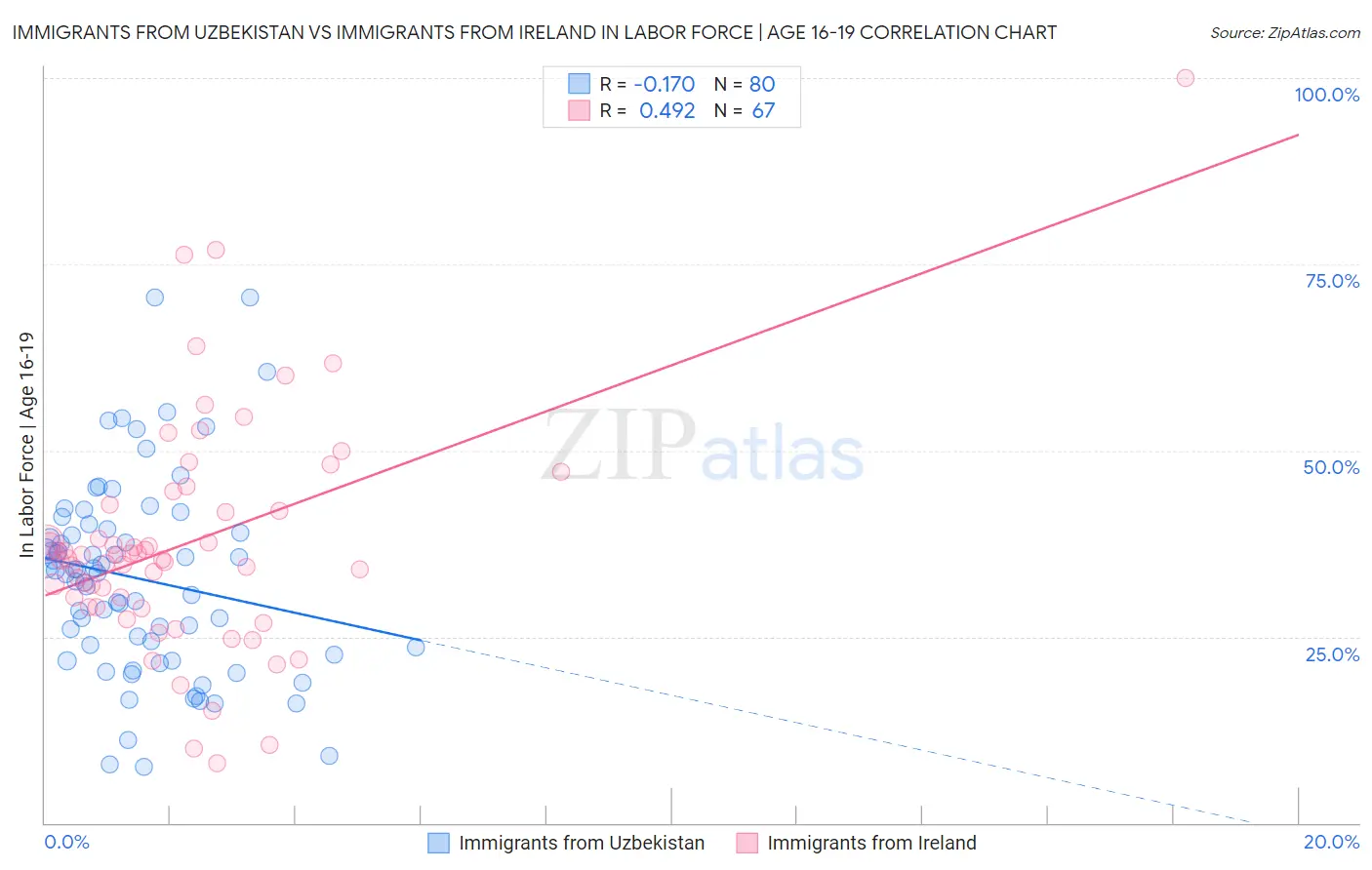 Immigrants from Uzbekistan vs Immigrants from Ireland In Labor Force | Age 16-19