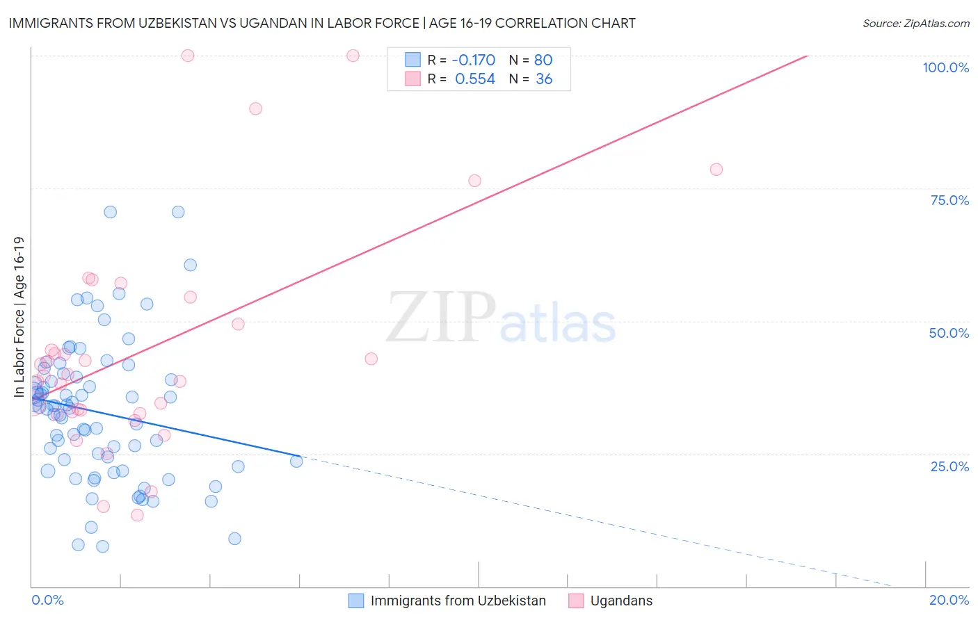 Immigrants from Uzbekistan vs Ugandan In Labor Force | Age 16-19