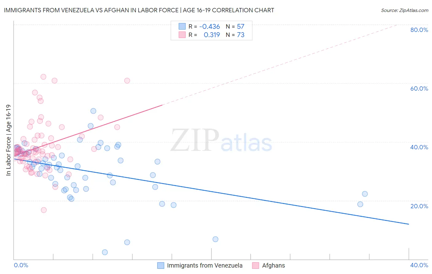 Immigrants from Venezuela vs Afghan In Labor Force | Age 16-19