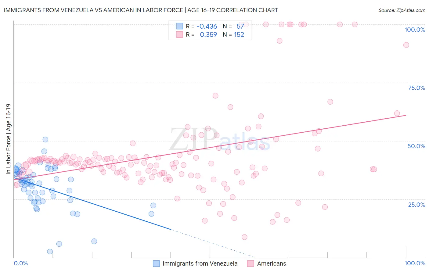 Immigrants from Venezuela vs American In Labor Force | Age 16-19