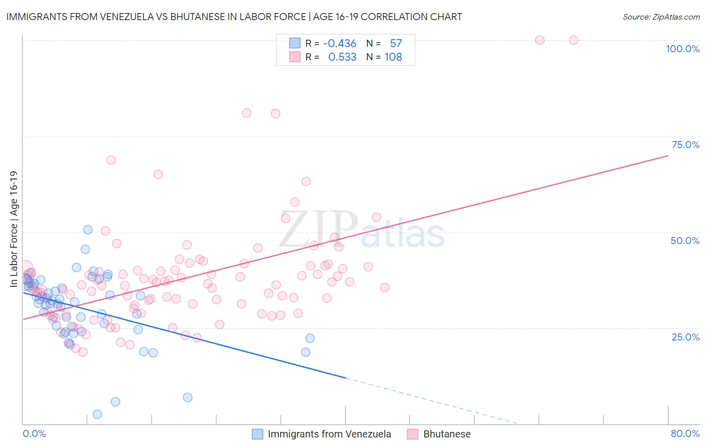 Immigrants from Venezuela vs Bhutanese In Labor Force | Age 16-19