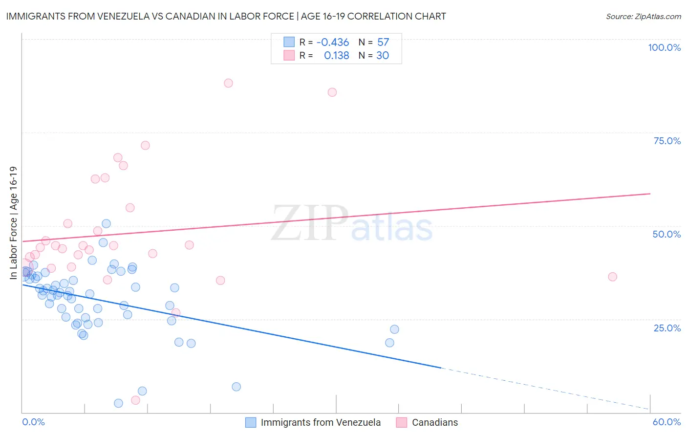 Immigrants from Venezuela vs Canadian In Labor Force | Age 16-19