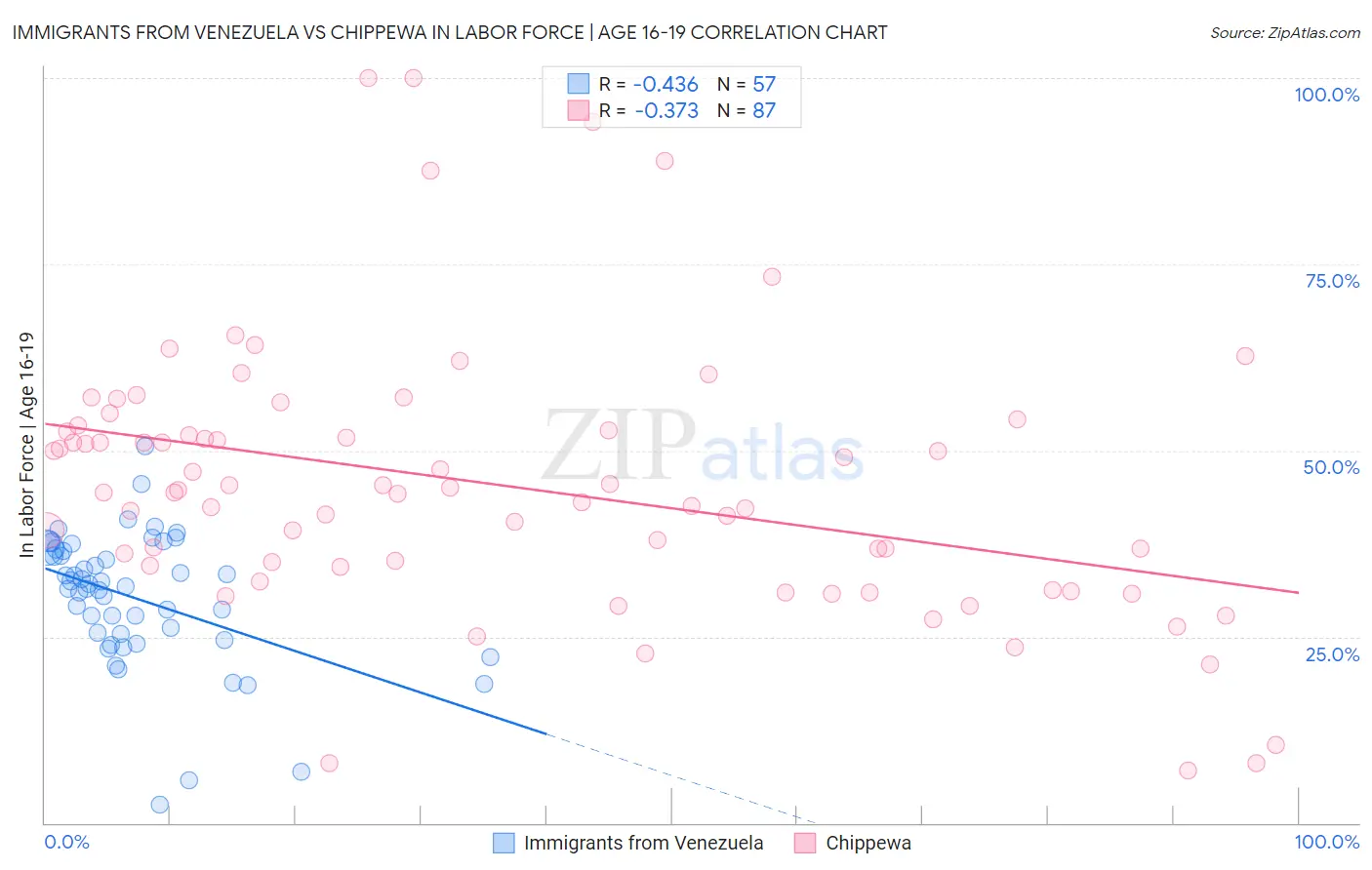 Immigrants from Venezuela vs Chippewa In Labor Force | Age 16-19