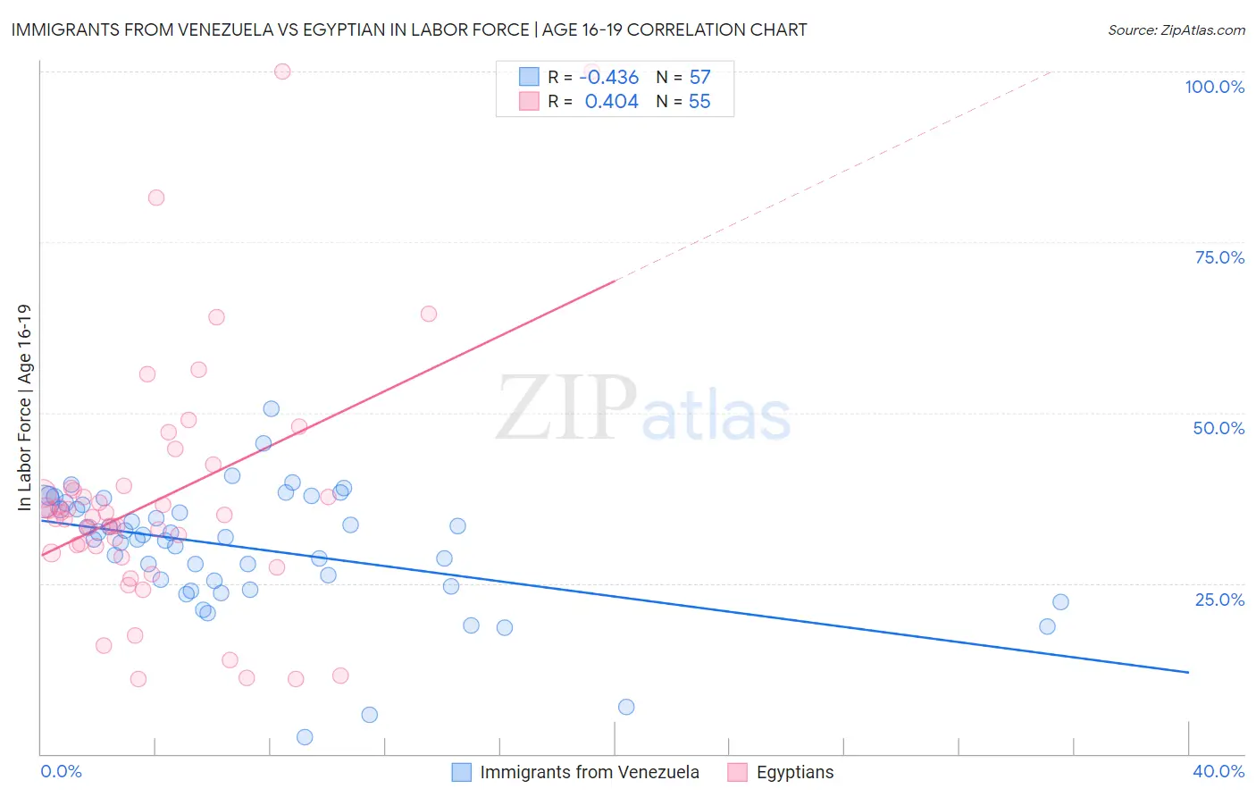 Immigrants from Venezuela vs Egyptian In Labor Force | Age 16-19