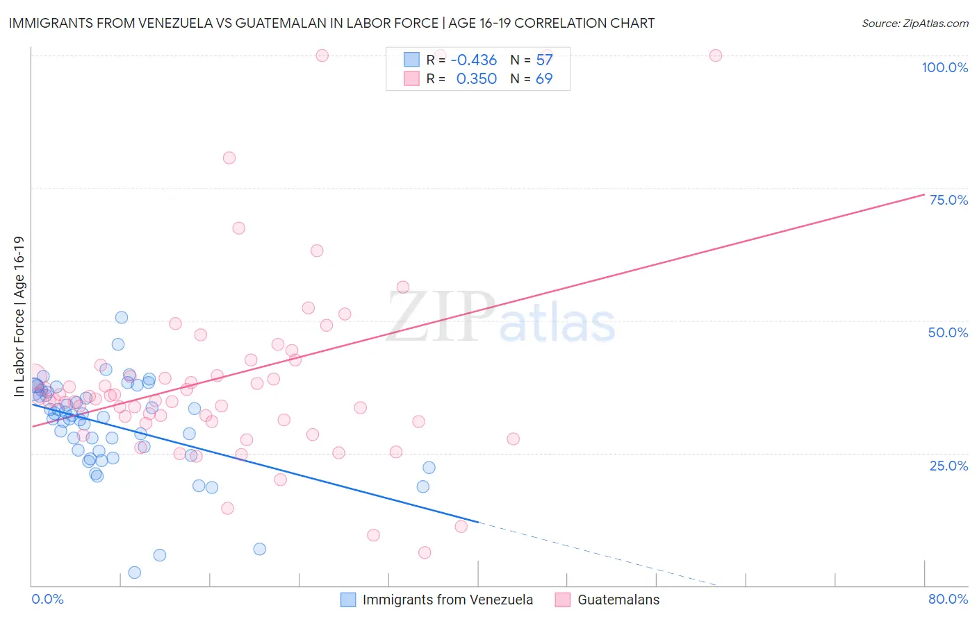 Immigrants from Venezuela vs Guatemalan In Labor Force | Age 16-19