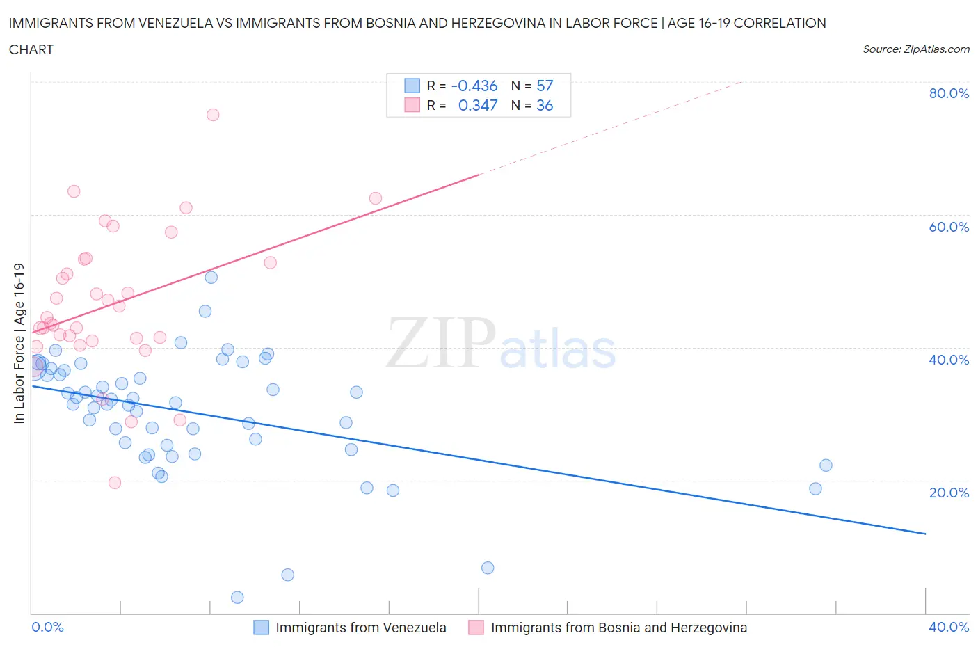 Immigrants from Venezuela vs Immigrants from Bosnia and Herzegovina In Labor Force | Age 16-19