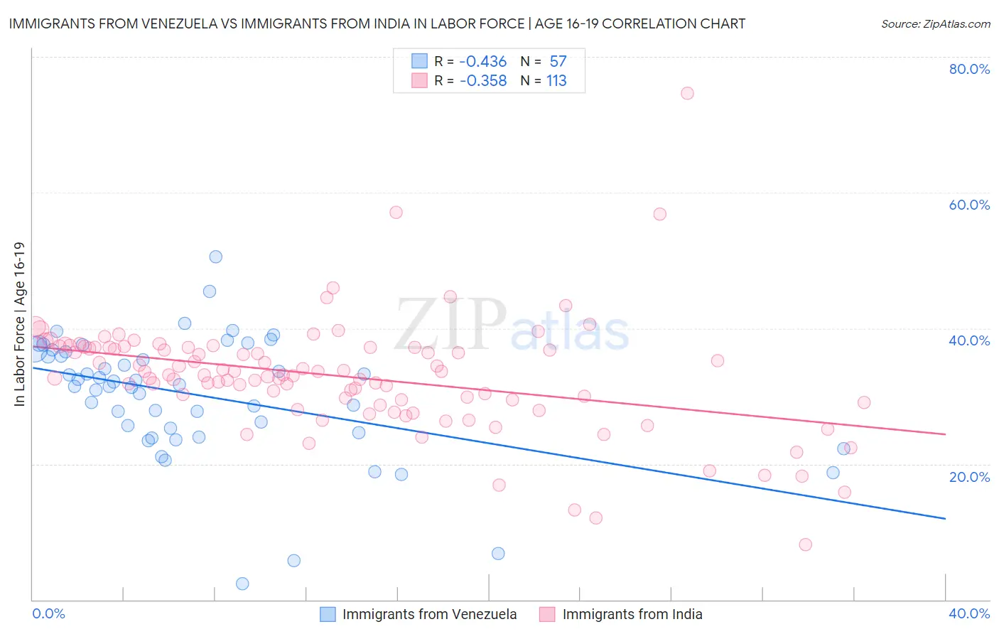 Immigrants from Venezuela vs Immigrants from India In Labor Force | Age 16-19