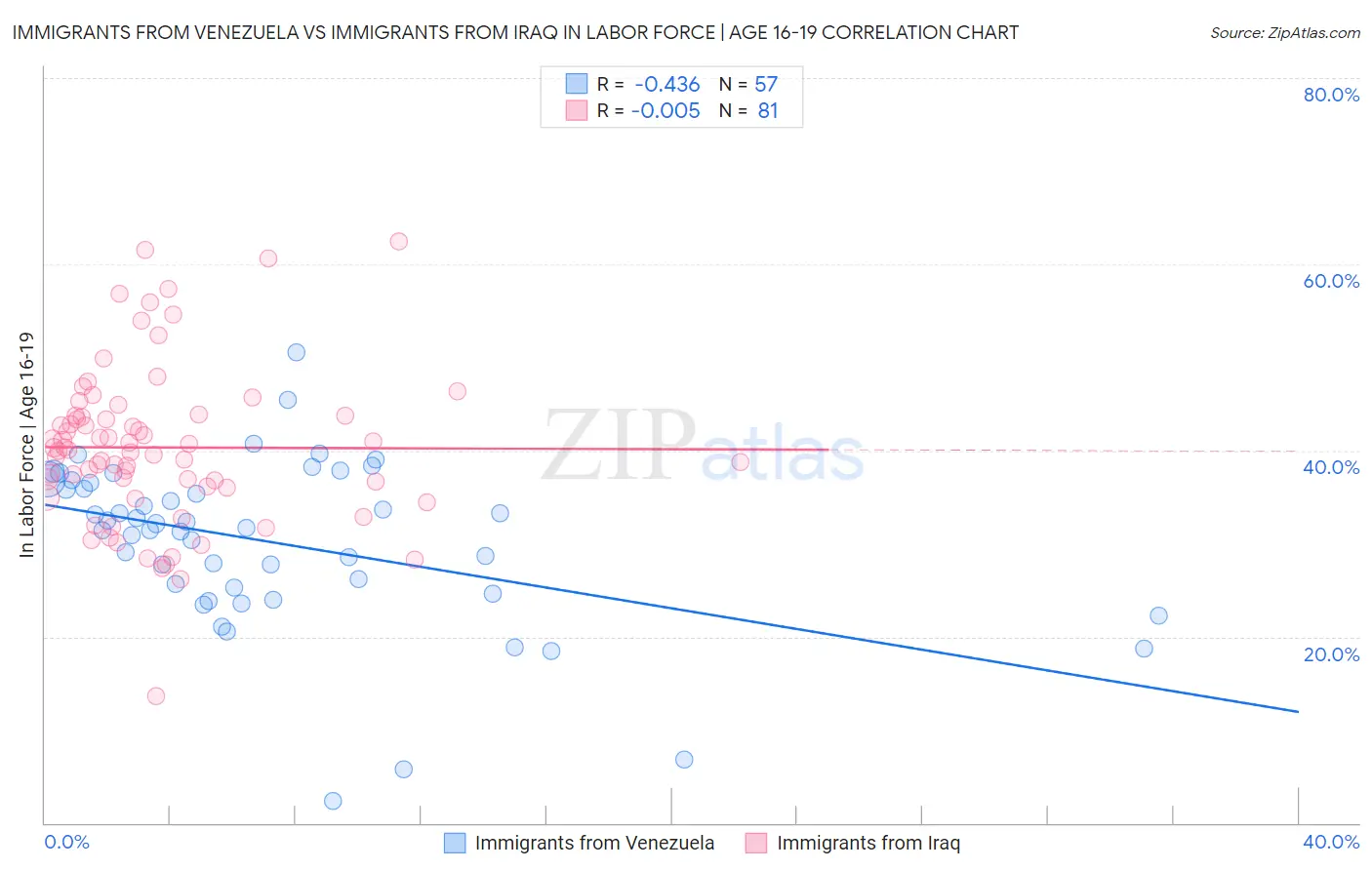 Immigrants from Venezuela vs Immigrants from Iraq In Labor Force | Age 16-19