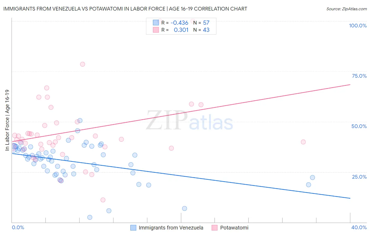 Immigrants from Venezuela vs Potawatomi In Labor Force | Age 16-19
