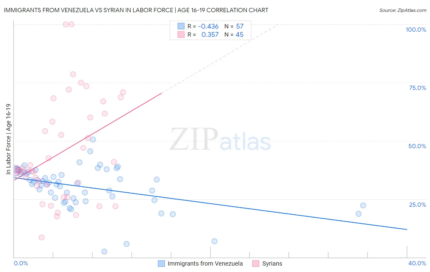 Immigrants from Venezuela vs Syrian In Labor Force | Age 16-19