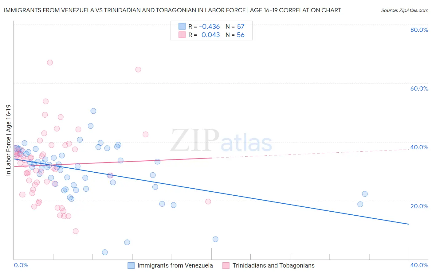 Immigrants from Venezuela vs Trinidadian and Tobagonian In Labor Force | Age 16-19