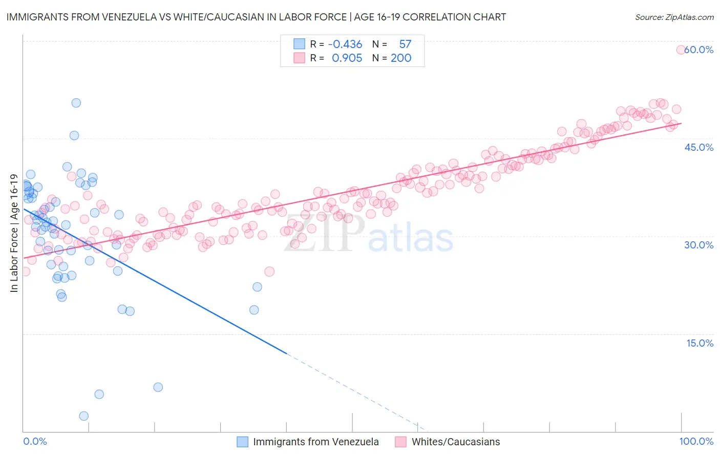 Immigrants from Venezuela vs White/Caucasian In Labor Force | Age 16-19