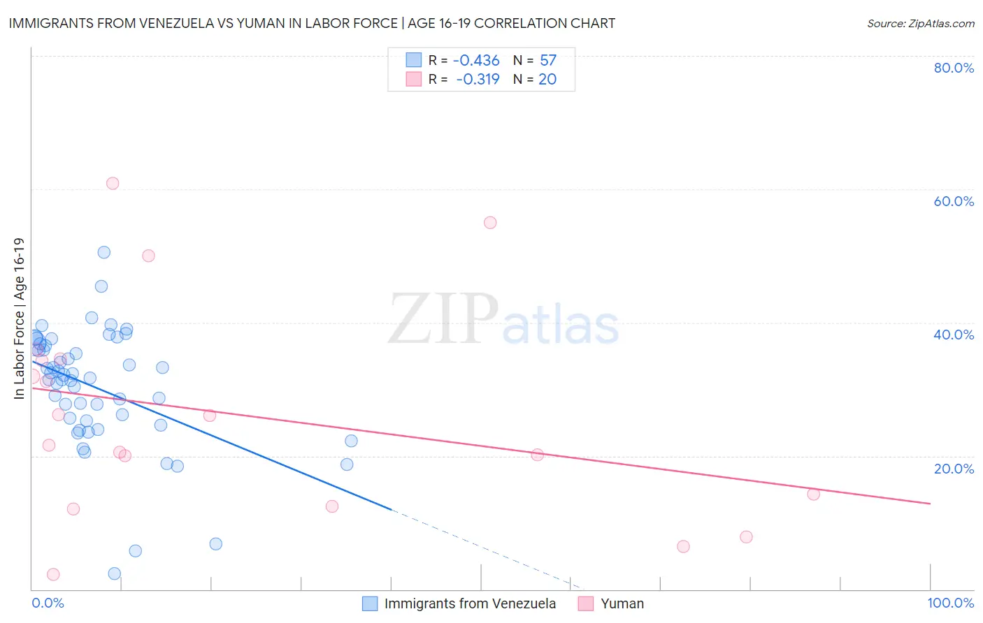 Immigrants from Venezuela vs Yuman In Labor Force | Age 16-19