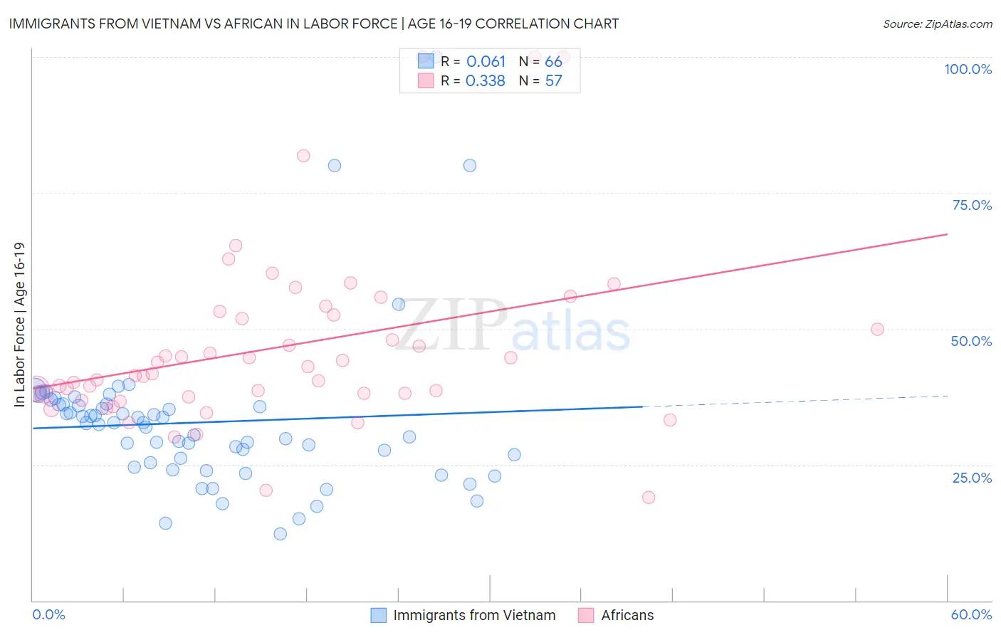 Immigrants from Vietnam vs African In Labor Force | Age 16-19