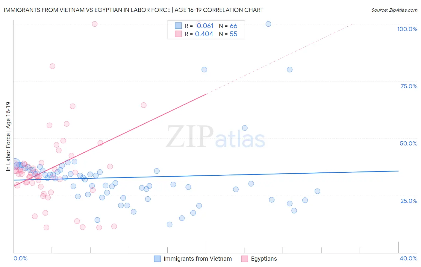 Immigrants from Vietnam vs Egyptian In Labor Force | Age 16-19