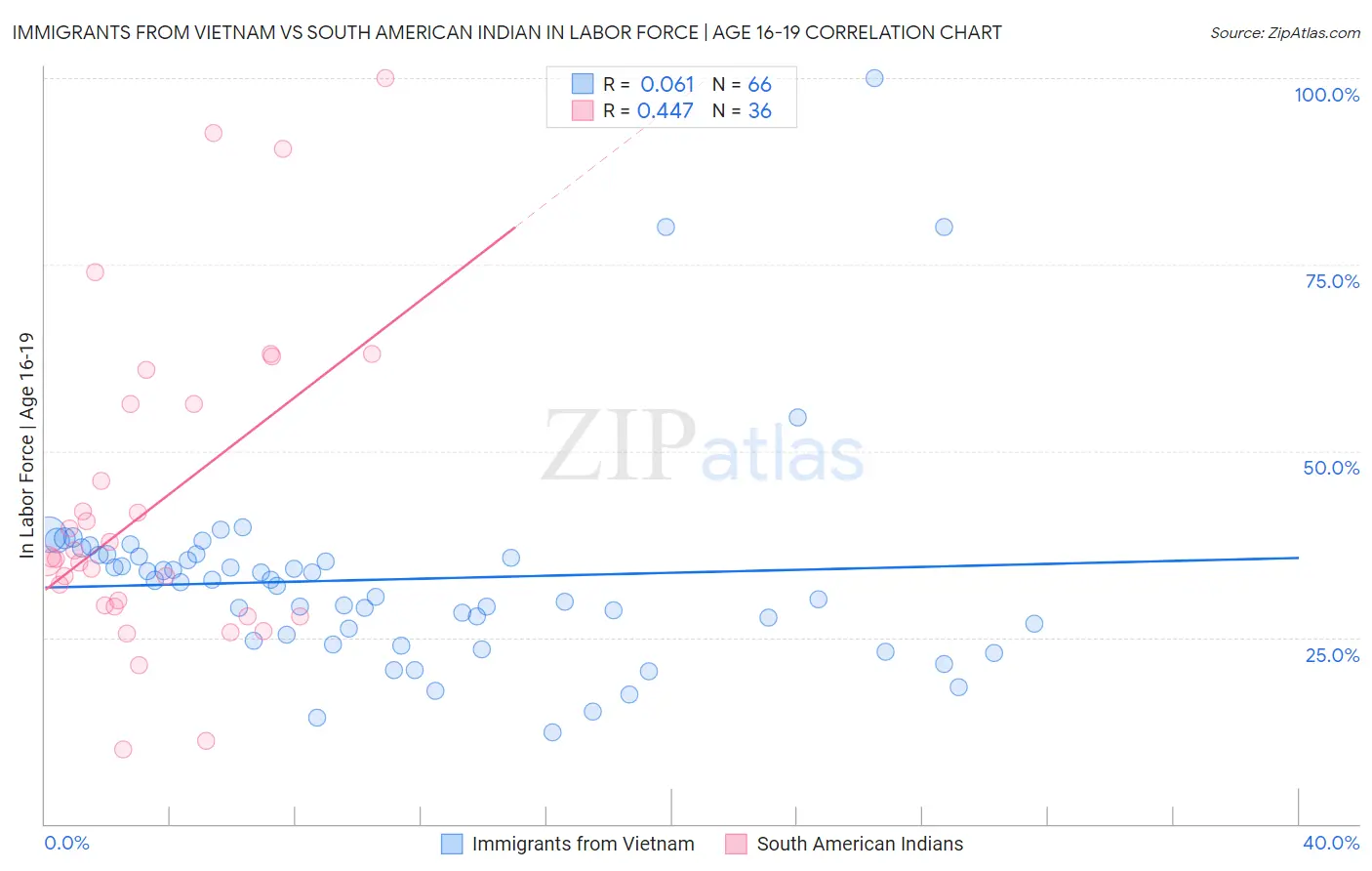 Immigrants from Vietnam vs South American Indian In Labor Force | Age 16-19