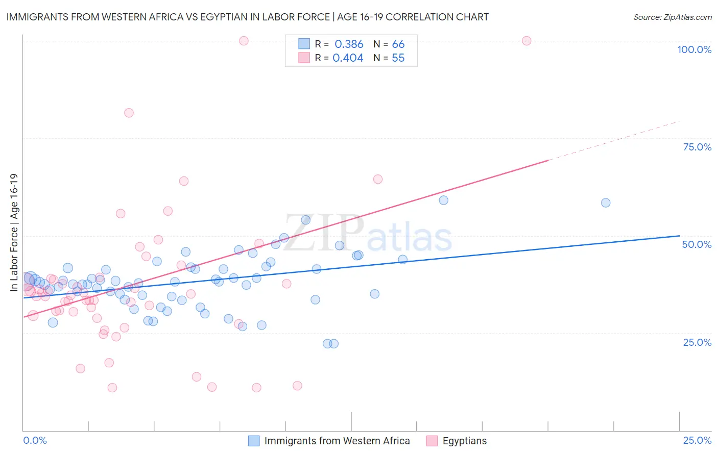 Immigrants from Western Africa vs Egyptian In Labor Force | Age 16-19